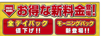 お得な新料金登場