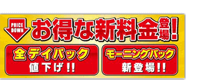 お得な新料金登場